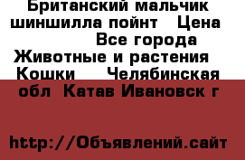 Британский мальчик шиншилла-пойнт › Цена ­ 5 000 - Все города Животные и растения » Кошки   . Челябинская обл.,Катав-Ивановск г.